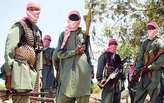 Vigilantes Kill Over 100 Bandits In Zamfara