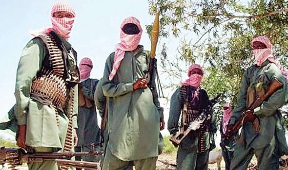 Vigilantes Kill Over 100 Bandits In Zamfara