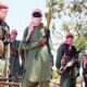 Vigilantes Kill Over 100 Bandits In Zamfara