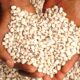 Consumers Rejoice As Bean Prices Collapse By Over 100%