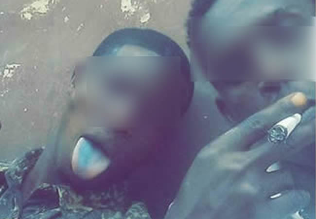 FG Warns Over Youth Drug Abuse