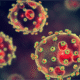 Nigeria Reports 145 Lassa Fever Deaths, 766 Cases