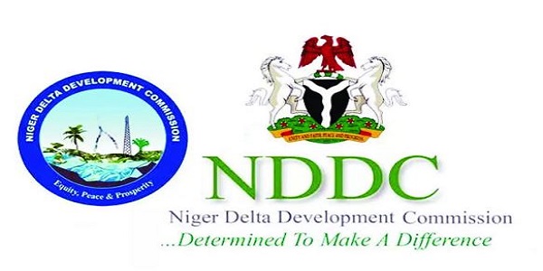 Fight Against Sickle Cell: NDDC Joins Forces With NGO
