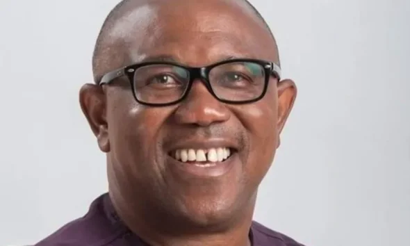 Why There Is No Democracy In Nigeria — Peter Obi