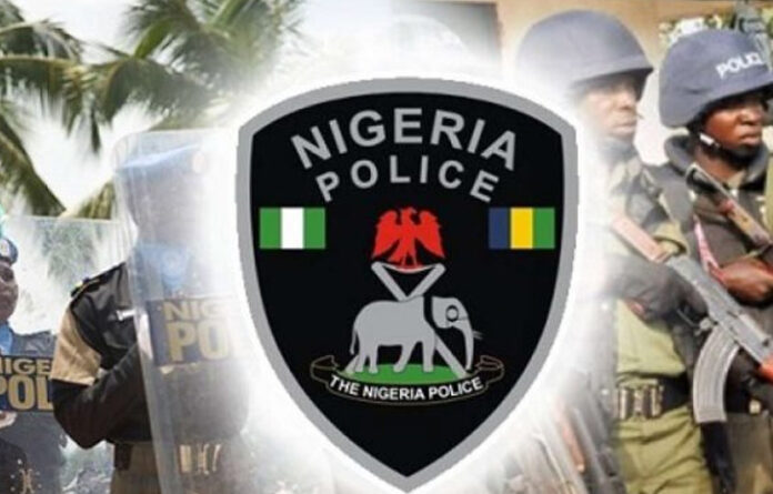 Police Kill Two, Arrest Two Robbery Suspects In Kaduna