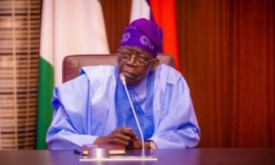Niger Poised As Decentralized Electricity Model Under Tinubu's Act – Santuraki