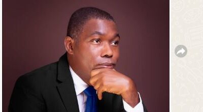 Adebayo Blasts Tinubu Over Benue "Showmanship"