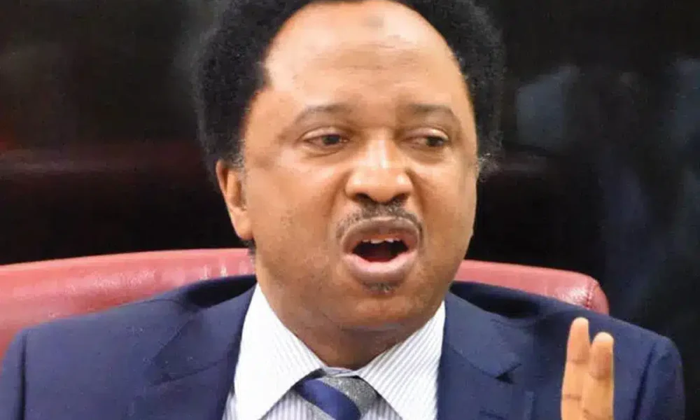 Shehu Sani: 2027 Coalition Needs Substance, Not Just Anger