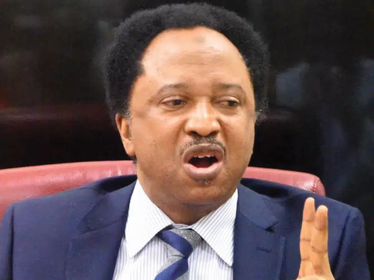 Shehu Sani: 2027 Coalition Needs Substance, Not Just Anger