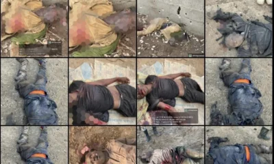 DH: Troops Neutralize Over 6,000 Terrorists, Free 5,365 Captives