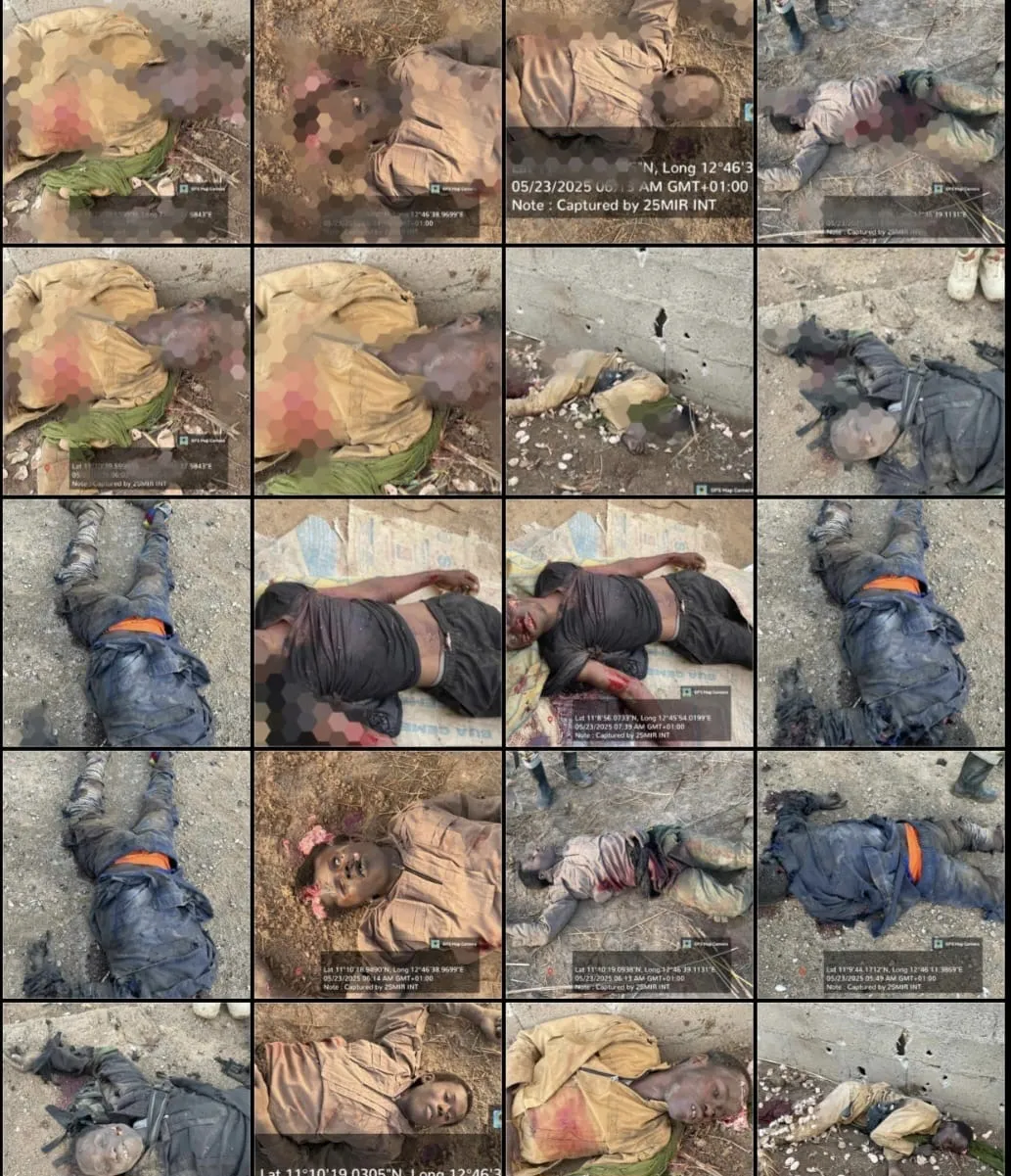 DH: Troops Neutralize Over 6,000 Terrorists, Free 5,365 Captives