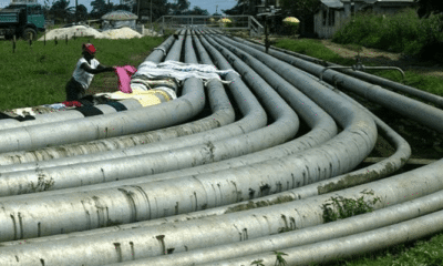 AKK Gas Line Completes River Niger Crossing