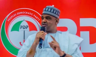 PDP Disowns Spokesman on NEC, INEC Comments