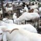 Eid-el-Kabir: FG Declares Friday, Monday Public Holidays