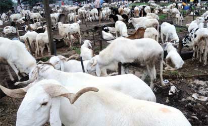 Eid-el-Kabir: FG Declares Friday, Monday Public Holidays