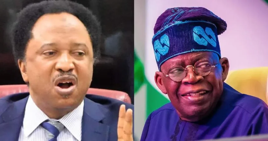 Opposition Blaming Tinubu For Internal Crises Is Illogical – Sani