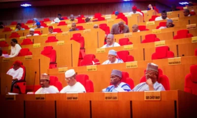 Fatima Alkali Declines Role Amidst Senate Confirmations